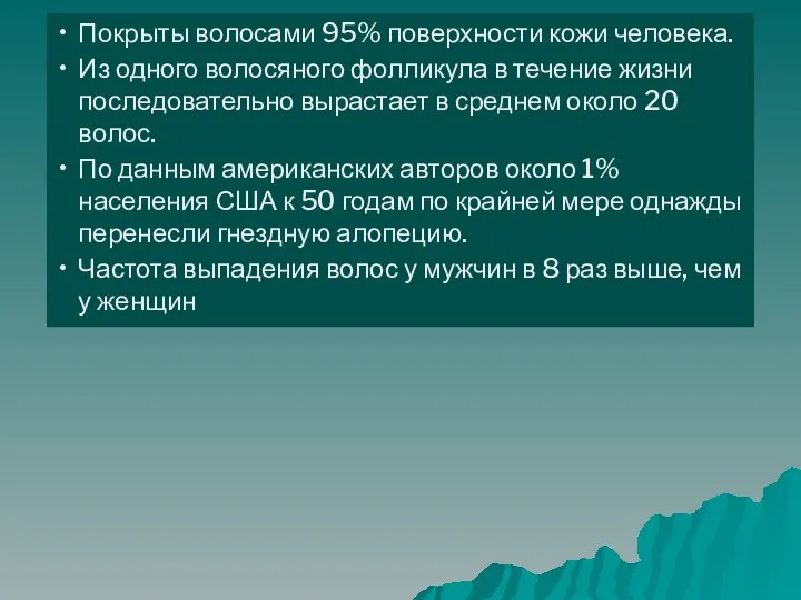 Покрыты волосами 95% поверхности кожи человека. Из одного волосяного фолликула в течение