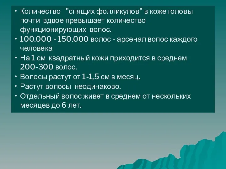 Количество "спящих фолликулов" в коже головы почти вдвое превышает количество функционирующих волос.