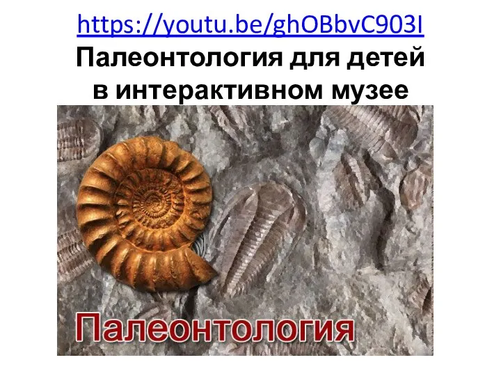 https://youtu.be/ghOBbvC903I Палеонтология для детей в интерактивном музее