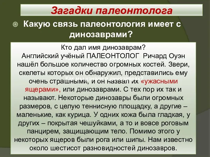 Загадки палеонтолога Какую связь палеонтология имеет с динозаврами? Кто дал имя динозаврам?