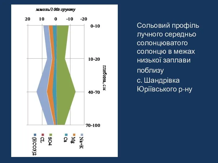 Сольовий профіль лучного середньо солонцюватого солонцю в межах низької заплави поблизу с. Шандрівка Юріївського р-ну