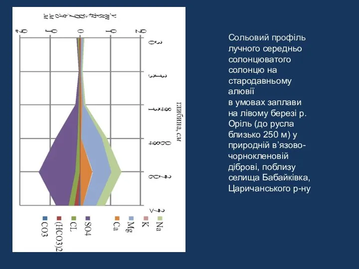 Сольовий профіль лучного середньо солонцюватого солонцю на стародавньому алювії в умовах заплави