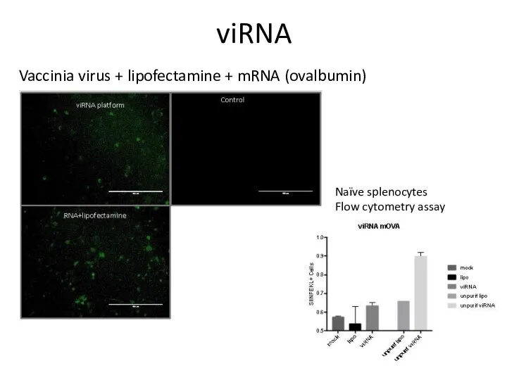 viRNA Vaccinia virus + lipofectamine + mRNA (ovalbumin) Naïve splenocytes Flow cytometry assay