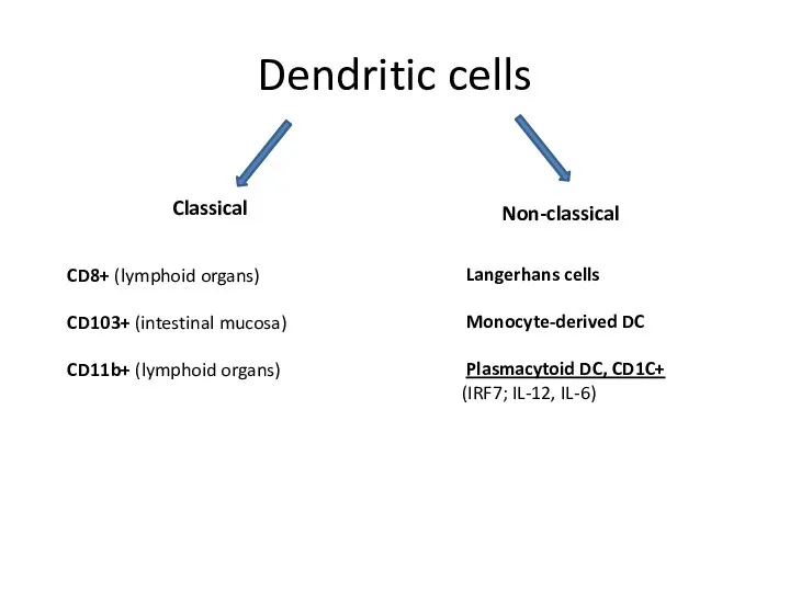 Dendritic cells Classical Non-classical CD8+ (lymphoid organs) CD103+ (intestinal mucosa) CD11b+ (lymphoid
