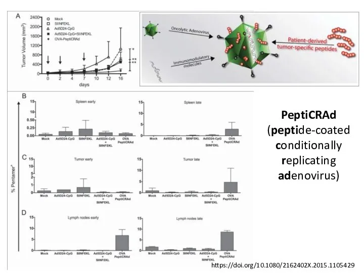 PeptiCRAd (peptide-coated conditionally replicating adenovirus) https://doi.org/10.1080/2162402X.2015.1105429