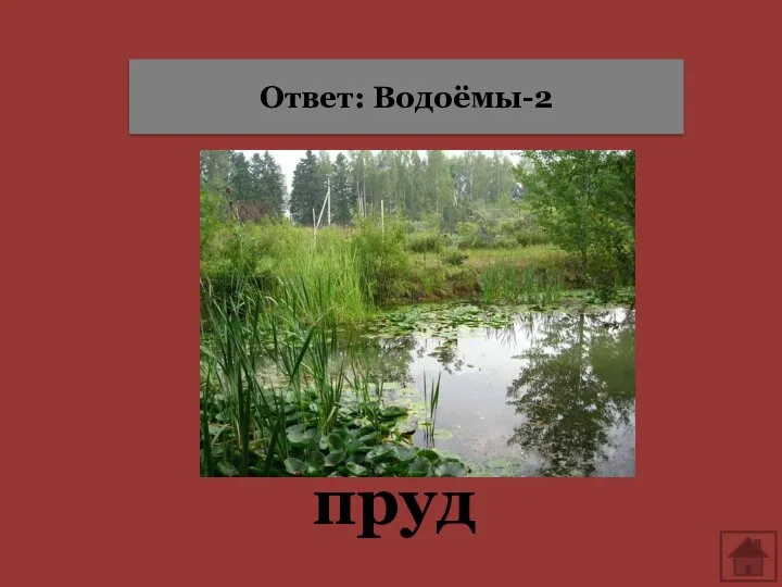 пруд Ответ: Водоёмы-2