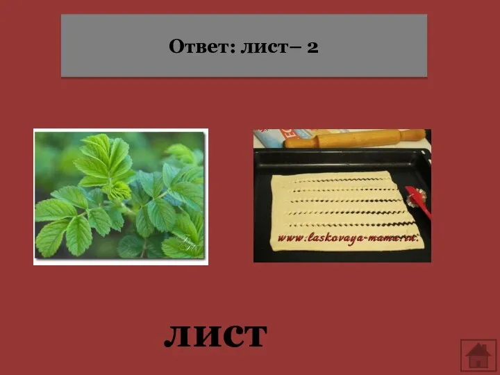 лист Ответ: лист– 2