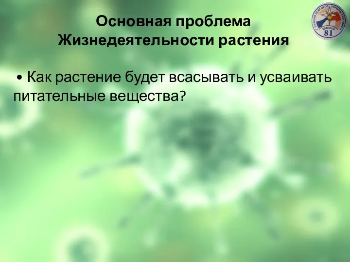 Основная проблема Жизнедеятельности растения • Как растение будет всасывать и усваивать питательные вещества?