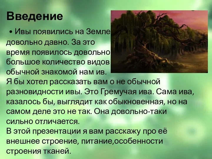 Введение • Ивы появились на Земле довольно давно. За это время появилось