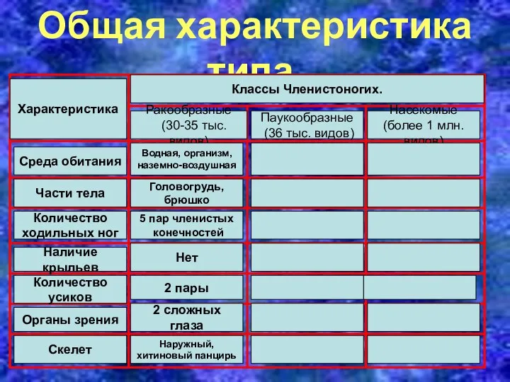 Общая характеристика типа. Характеристика Классы Членистоногих. Ракообразные (30-35 тыс. видов) Паукообразные (36