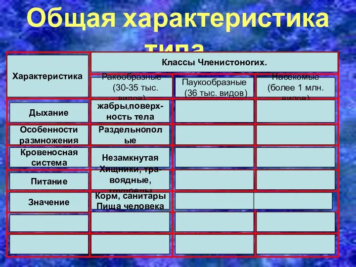 Общая характеристика типа. Характеристика Классы Членистоногих. Ракообразные (30-35 тыс. видов) Паукообразные (36