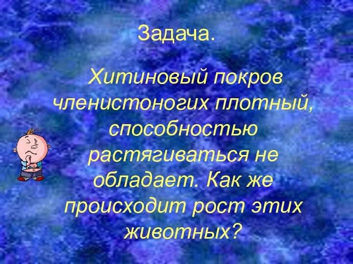 Задача. Хитиновый покров членистоногих плотный, способностью растягиваться не обладает. Как же происходит рост этих животных?