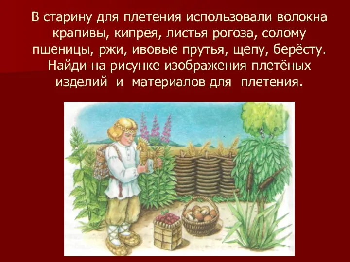 В старину для плетения использовали волокна крапивы, кипрея, листья рогоза, солому пшеницы,