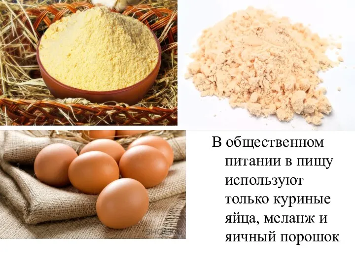 В общественном питании в пищу используют только куриные яйца, меланж и яичный порошок