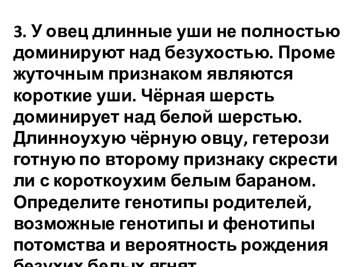 3. У овец длин­ные уши не пол­но­стью доминируют над безухостью. Про­ме­жу­точ­ным признаком