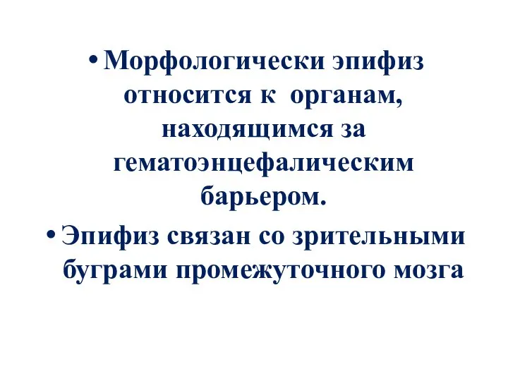 Морфологически эпифиз относится к органам, находящимся за гематоэнцефалическим барьером. Эпифиз связан со зрительными буграми промежуточного мозга