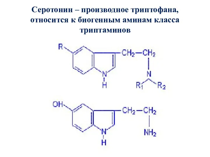 Серотонин эпифиза. Триптофан биогенный Амин. Биогенные Амины из триптофана. Триптофан строение. Серотонин из триптамина.