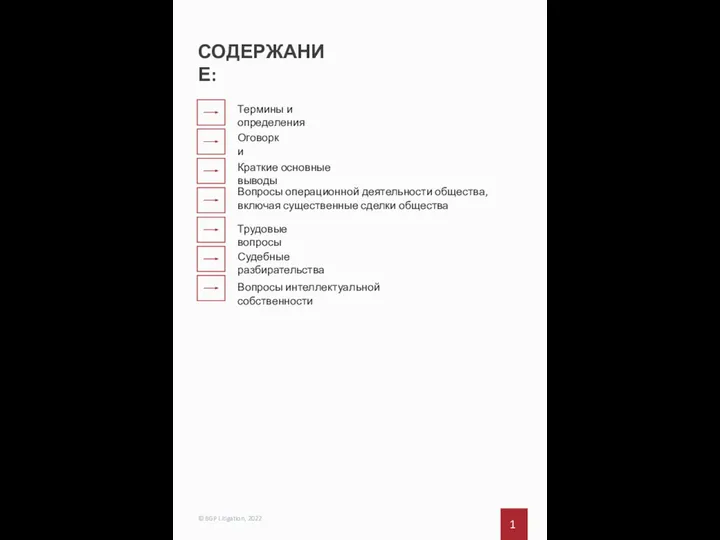 СОДЕРЖАНИЕ: 1 © BGP Litigation, 2022 Термины и определения Оговорки Краткие основные