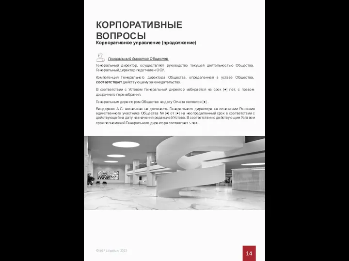 КОРПОРАТИВНЫЕ ВОПРОСЫ 14 © BGP Litigation, 2022 Корпоративное управление (продолжение) Генеральный директор