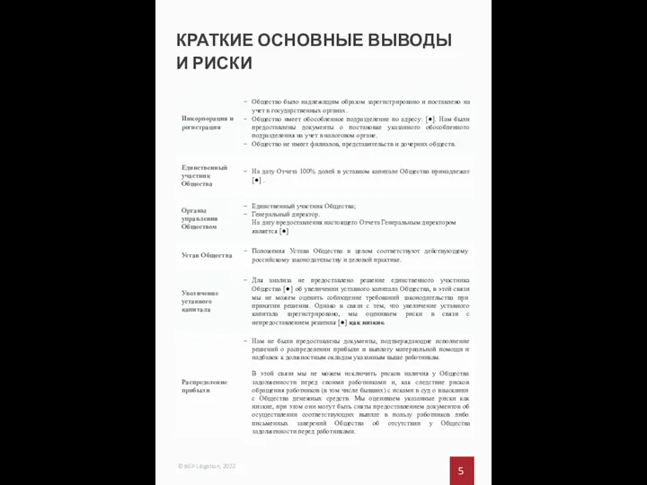 5 © BGP Litigation, 2022 КРАТКИЕ ОСНОВНЫЕ ВЫВОДЫ И РИСКИ