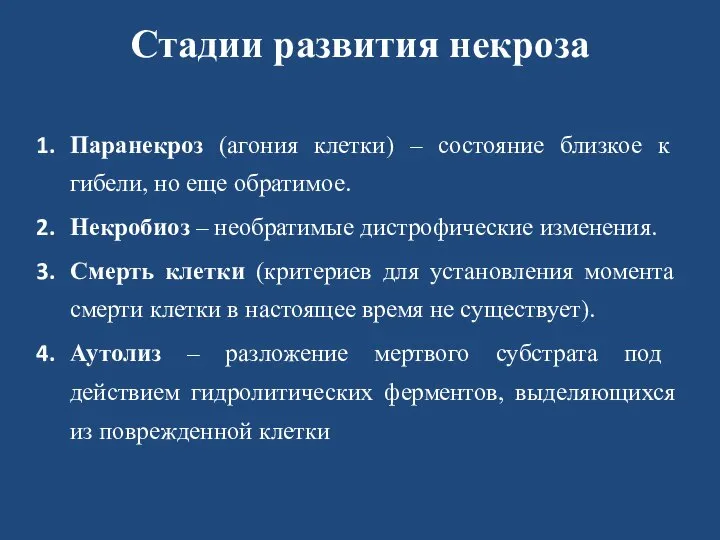 Стадии развития некроза Паранекроз (агония клетки) – состояние близкое к гибели, но