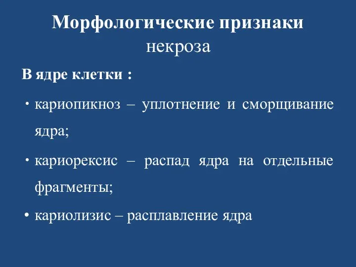 Морфологические признаки некроза В ядре клетки : кариопикноз – уплотнение и сморщивание