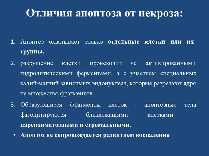 Отличия апоптоза от некроза: Апоптоз охватывает только отдельные клетки или их группы.