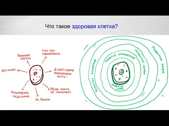 Что такое здоровая клетка?