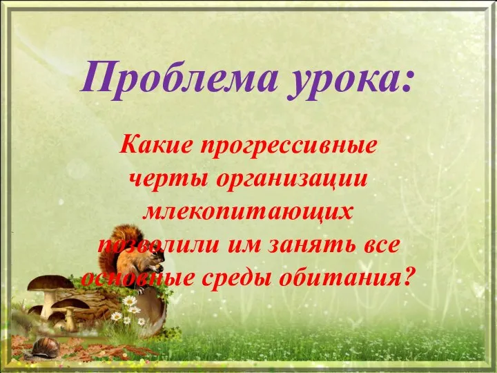 Проблема урока: Какие прогрессивные черты организации млекопитающих позволили им занять все основные среды обитания?