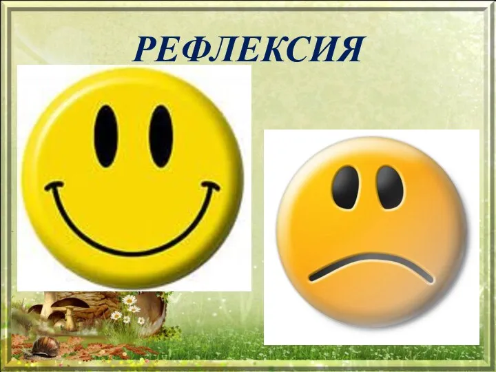 РЕФЛЕКСИЯ