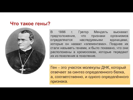 Что такое гены? В 1866 г. Грегор Мендель высказал предположение, что признаки