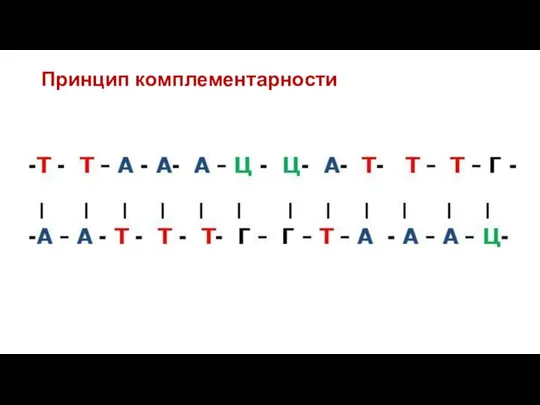 Принцип комплементарности