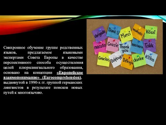 Синхронное обучение группе родственных языков, предлагаемое языковыми экспертами Совета Европы в качестве