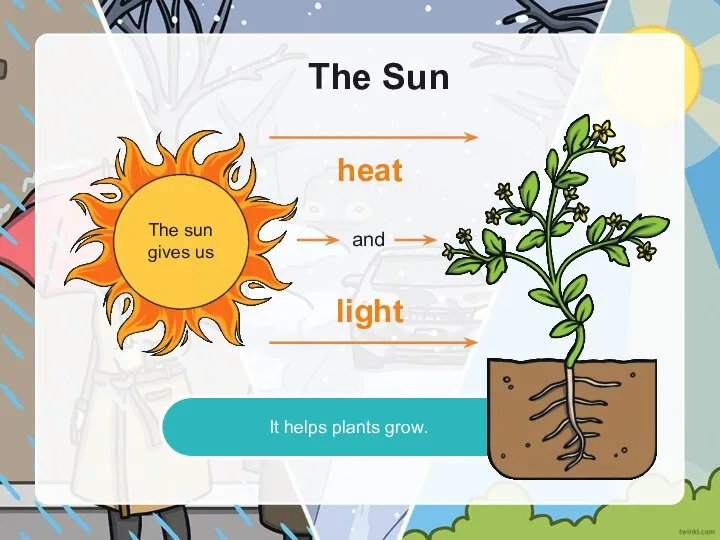 It helps plants grow. The Sun The sun gives us heat and light