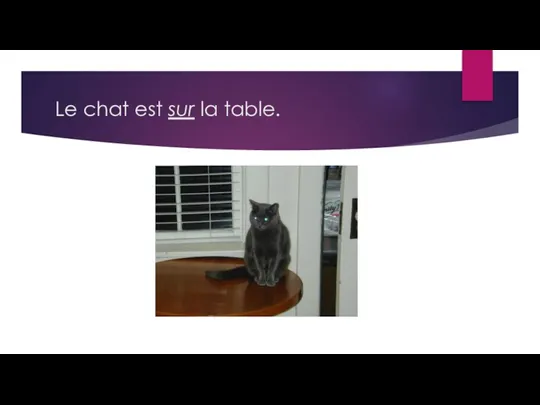 Le chat est sur la table.