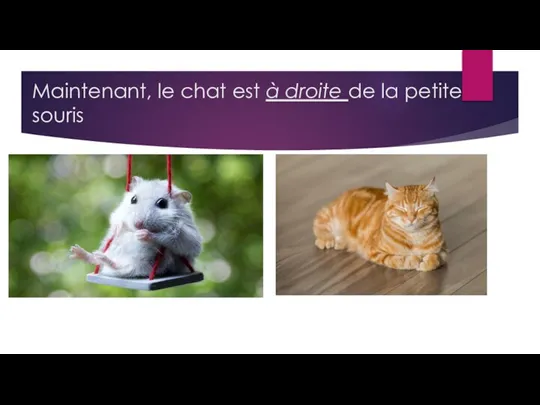 Maintenant, le chat est à droite de la petite souris