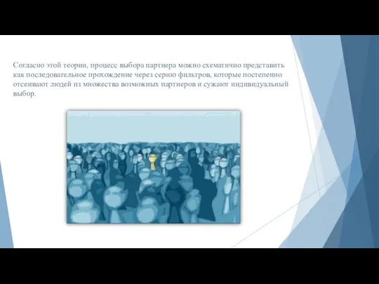 Согласно этой теории, процесс выбора партнера можно схематично представить как последовательное прохождение