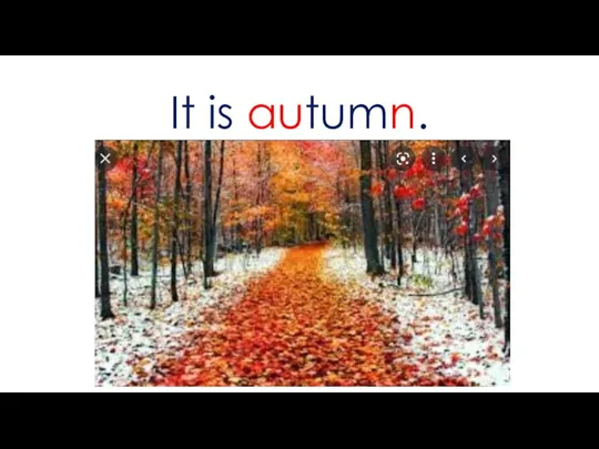 It is autumn.
