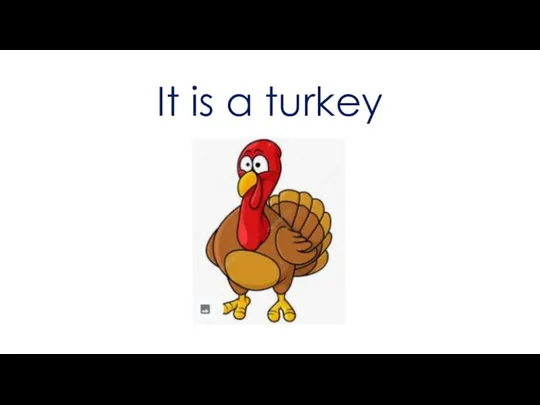 It is a turkey