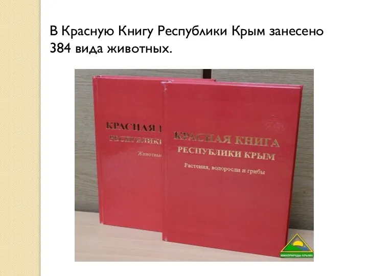 В Красную Книгу Республики Крым занесено 384 вида животных.