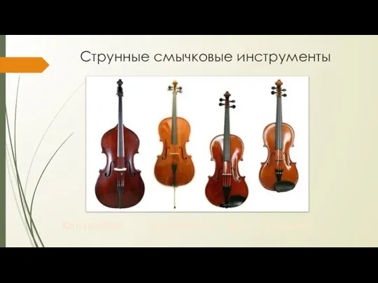 Струнные смычковые инструменты Контрабас Виолончель Альт Скрипка