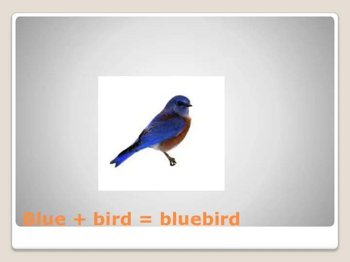Blue + bird = bluebird