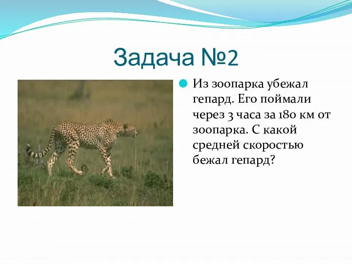 Задача №2 Из зоопарка убежал гепард. Его поймали через 3 часа за