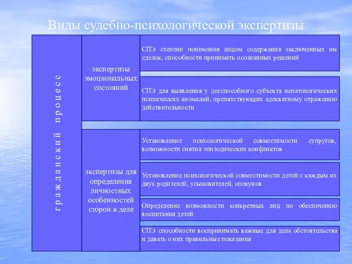 Виды судебно-психологической экспертизы г р а ж д а н с к