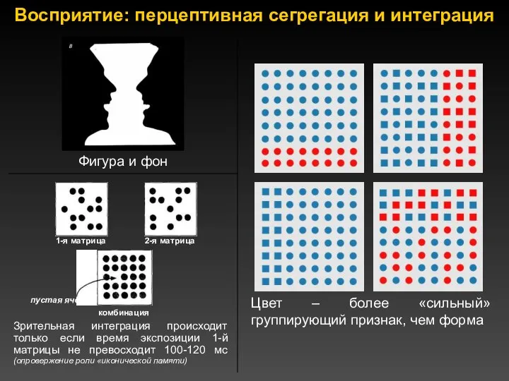 Восприятие: перцептивная сегрегация и интеграция Цвет – более «сильный» группирующий признак, чем