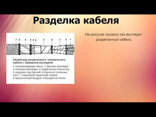 Разделка кабеля На рисунке показно как выглядит разделанный кабель