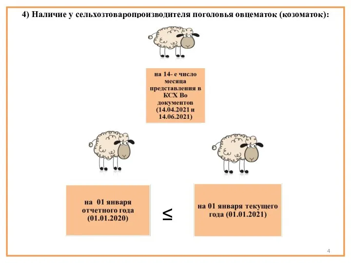 4) Наличие у сельхозтоваропроизводителя поголовья овцематок (козоматок):