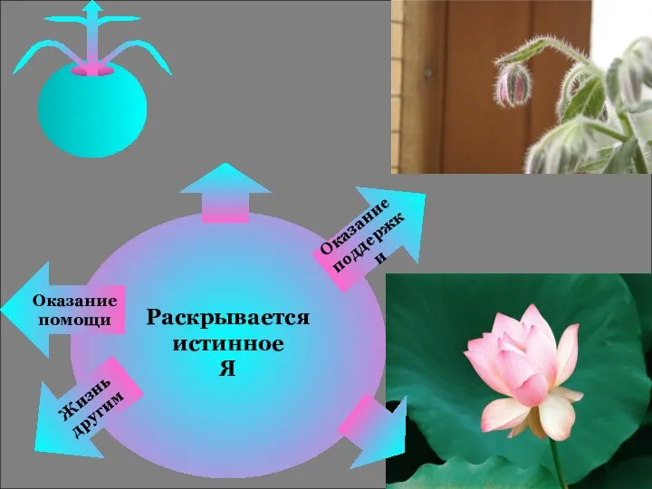 Раскрывается истинное Я Оказание поддержки Оказание помощи Жизнь другим