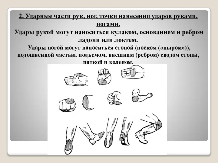 2. Ударные части рук, ног, точки нанесения ударов руками, ногами. Удары рукой