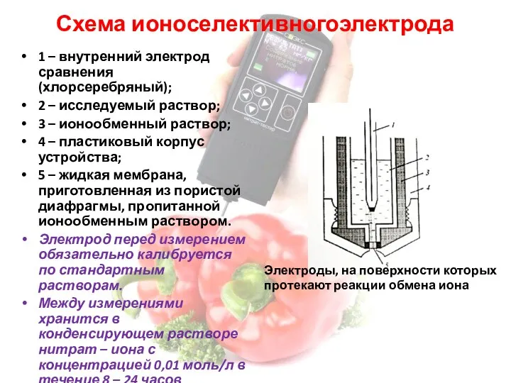 Схема ионоселективногоэлектрода 1 – внутренний электрод сравнения (хлорсеребряный); 2 – исследуемый раствор;